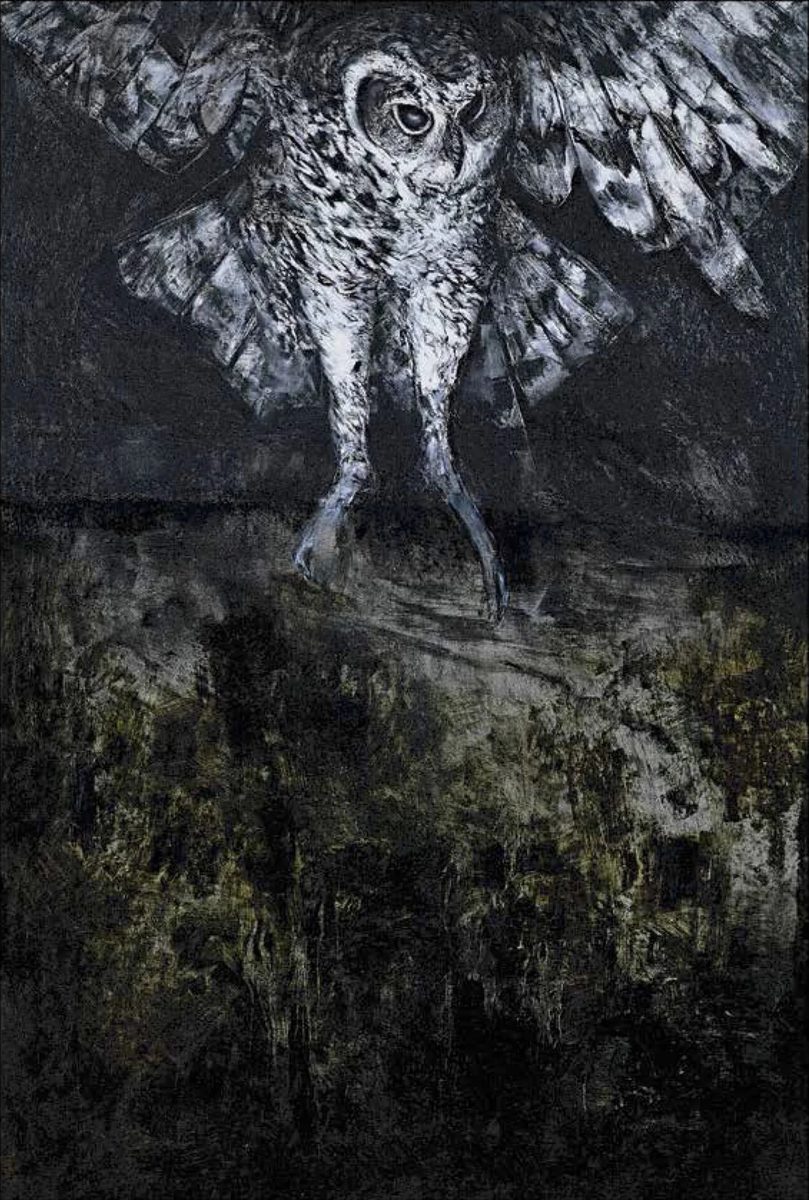 Owl (A38)
