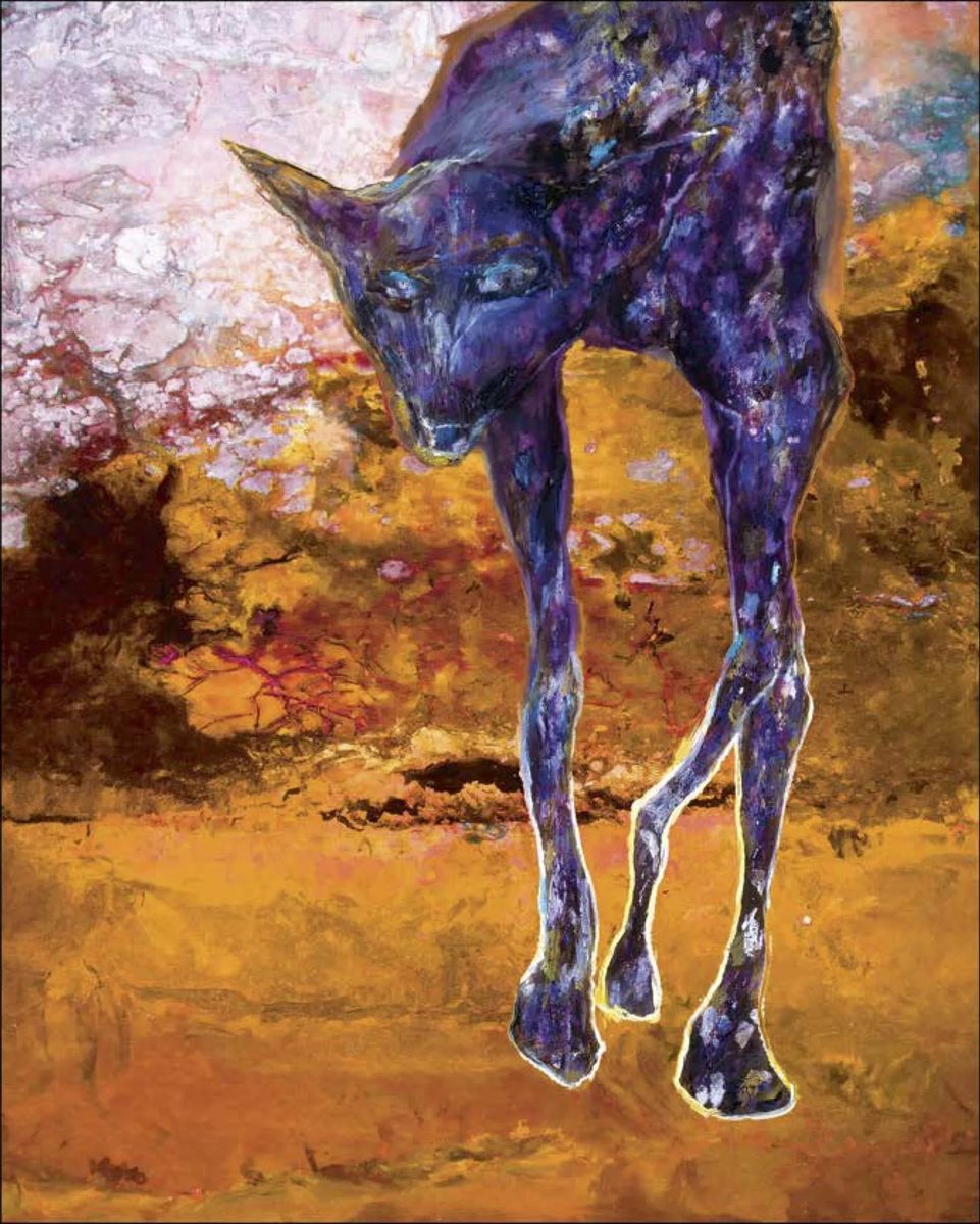 Desert Wild Dog (M33)