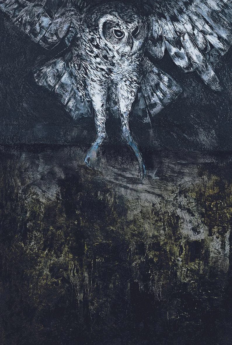 Owl (C1)