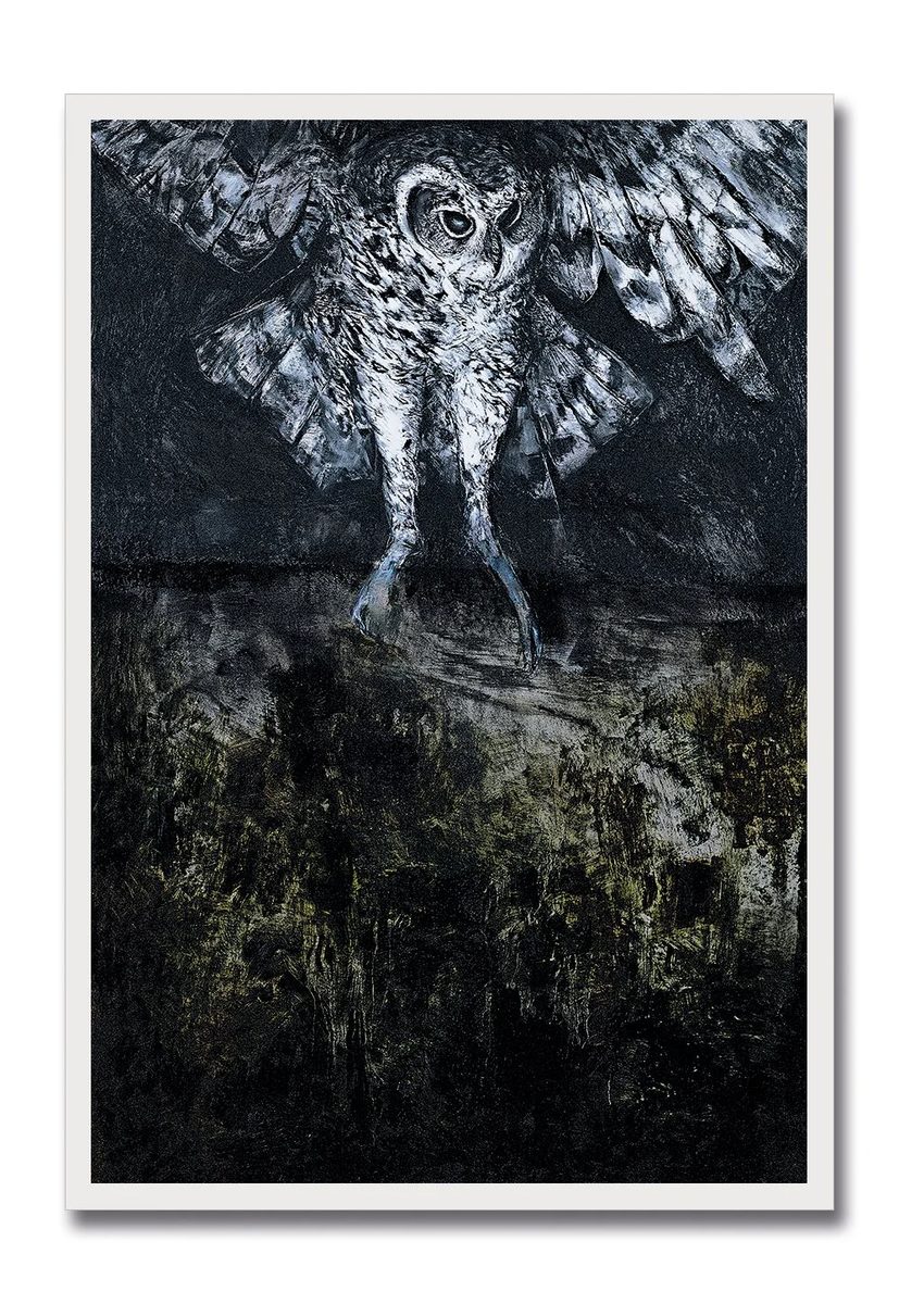Owl (C1)