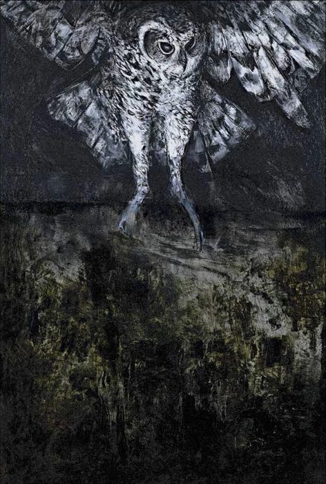 Owl (A38)