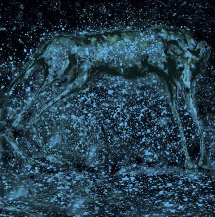 Blue Night Wild Dog (M31)