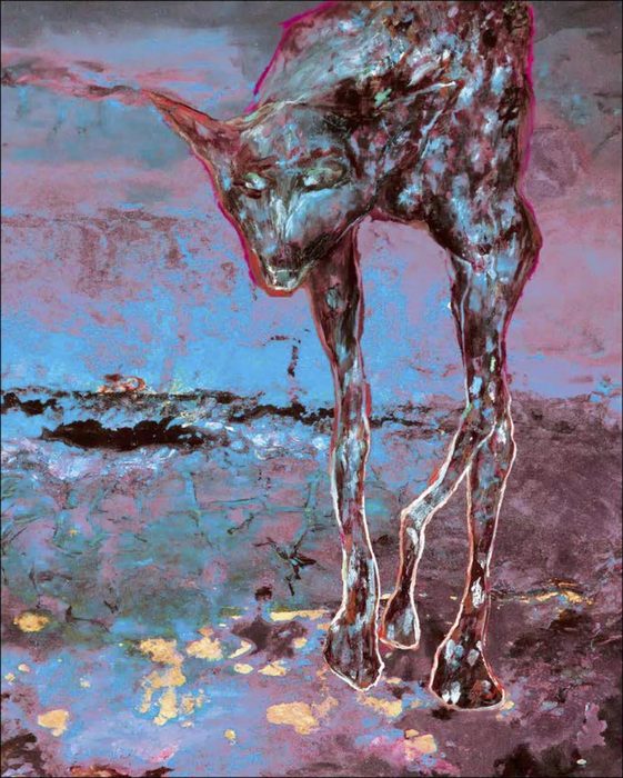 Pink Desert Wild Dog (M34)