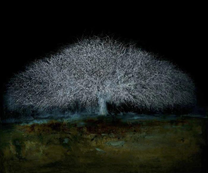 Night Tree (A37)