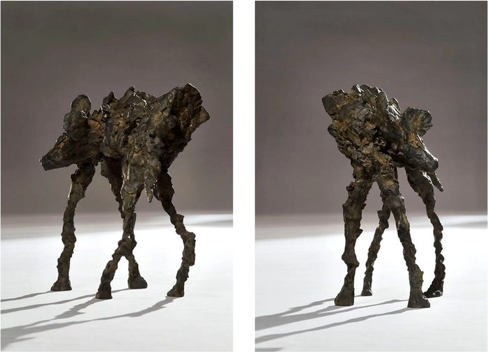 Wild Dog Bronze II