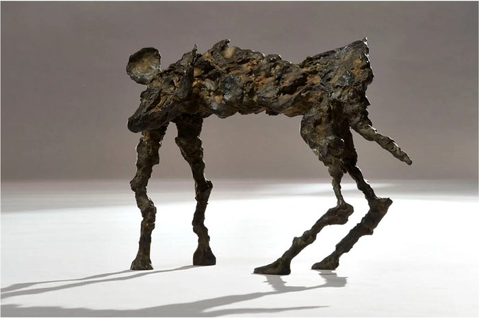 Wild Dog Bronze II