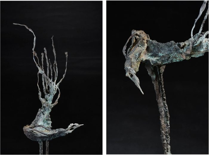 Bronze Bird (Details)