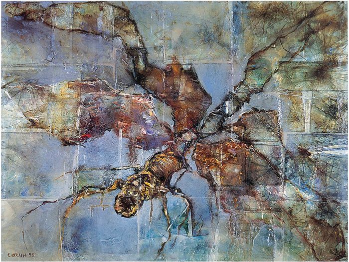 Artwork by Gail Catlin