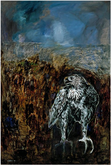 Artwork by Gail Catlin