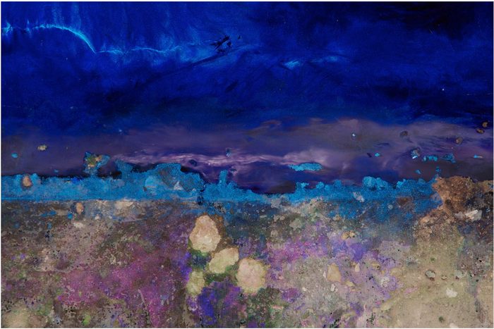 Artwork by Gail Catlin