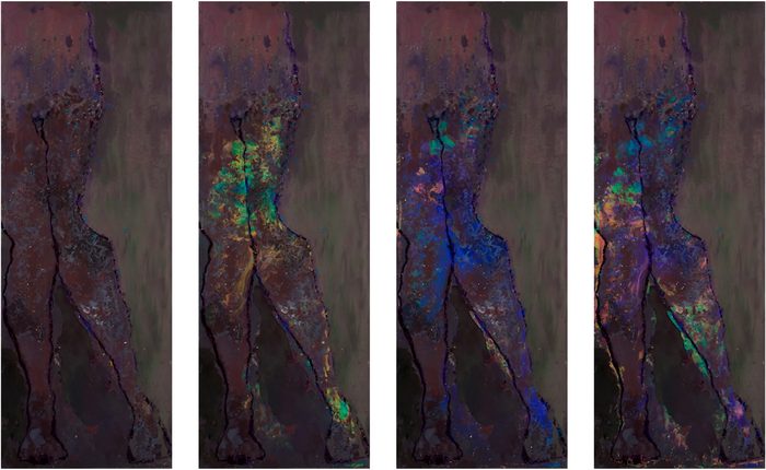 Artwork by Gail Catlin