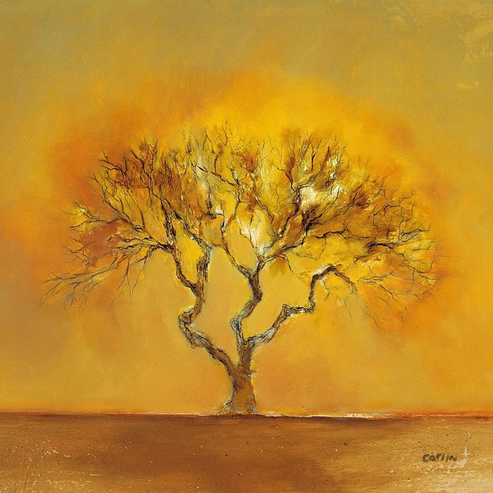 Orange Tree (G4)