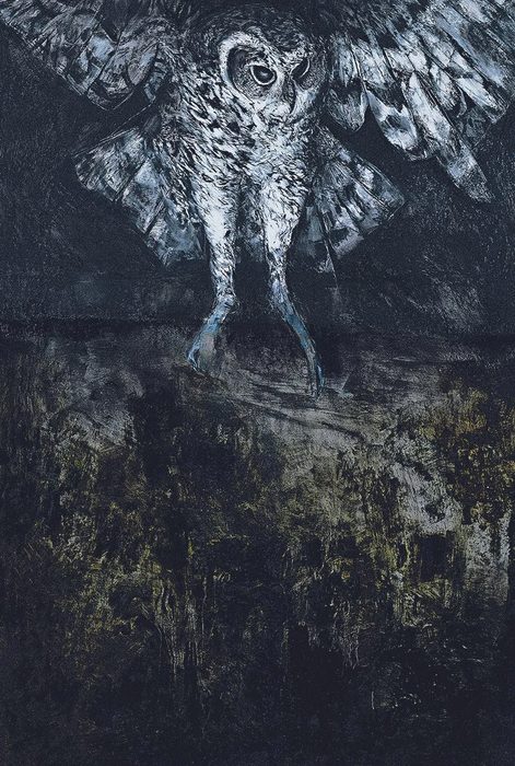 Owl (C1)